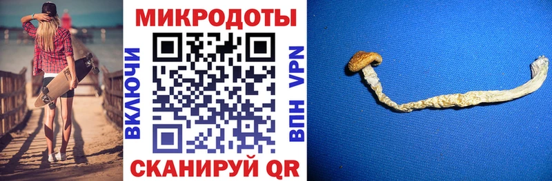 Галлюциногенные грибы Magic Shrooms  Зубцов 
