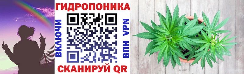 закладка  Зубцов  Конопля план 