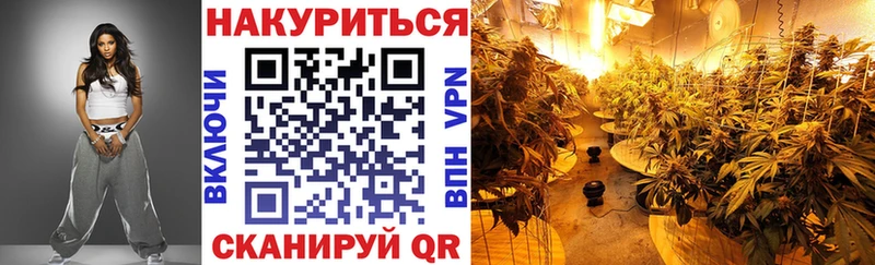 Бошки Шишки планчик Зубцов